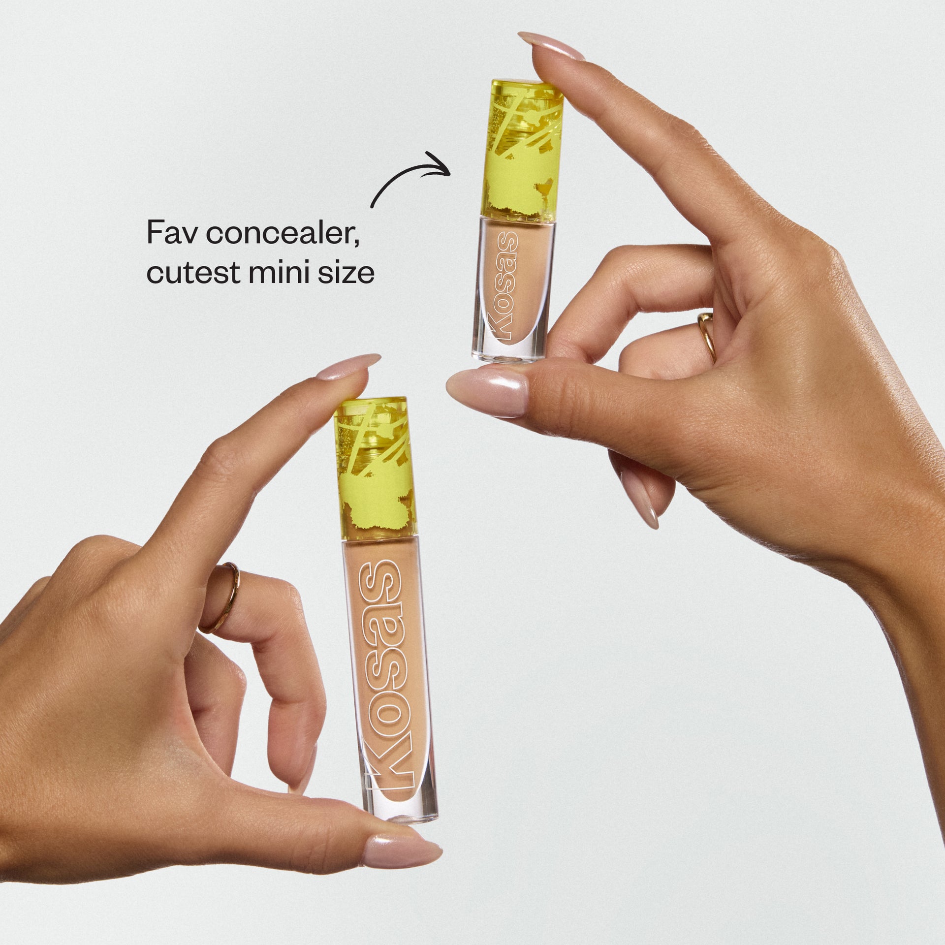 Revealer Concealer Mini & Full-size